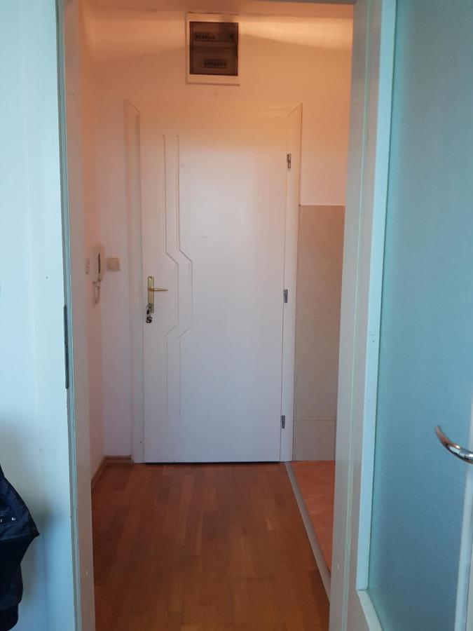 Central Apartment With 24-7 Building Security Νόβι Σαντ Εξωτερικό φωτογραφία